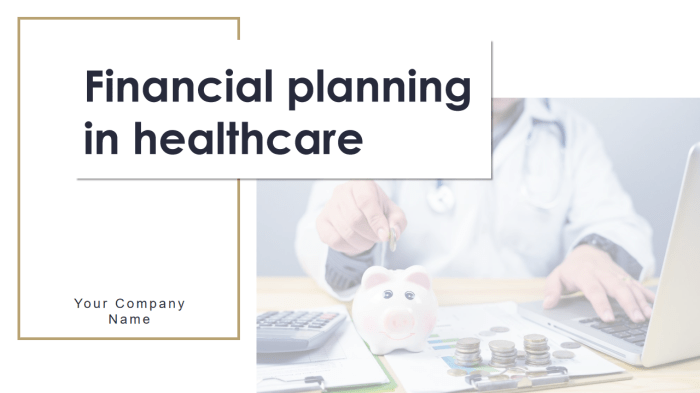 Financial Health Plan With Spend Save Borrow And Plan Professional PDF